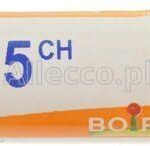 Boiron Benzoicum Acidum 15CH 4 g