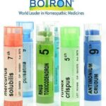 BOIRON Sulfur 30CH 1g