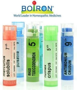 Boiron Zincum Metallicum 9CH 4 g