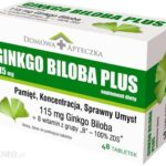 Ginkgo Biloba Plus 60 mg 48 tabl.