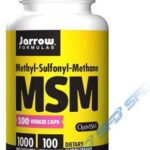 Jarrow Formulas MSM 100veg caps