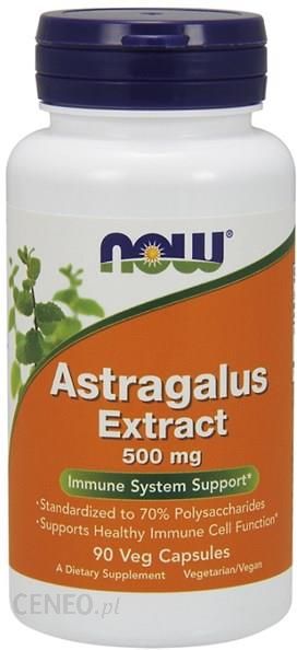 Now Foods Astragalus Extract 90 kaps.